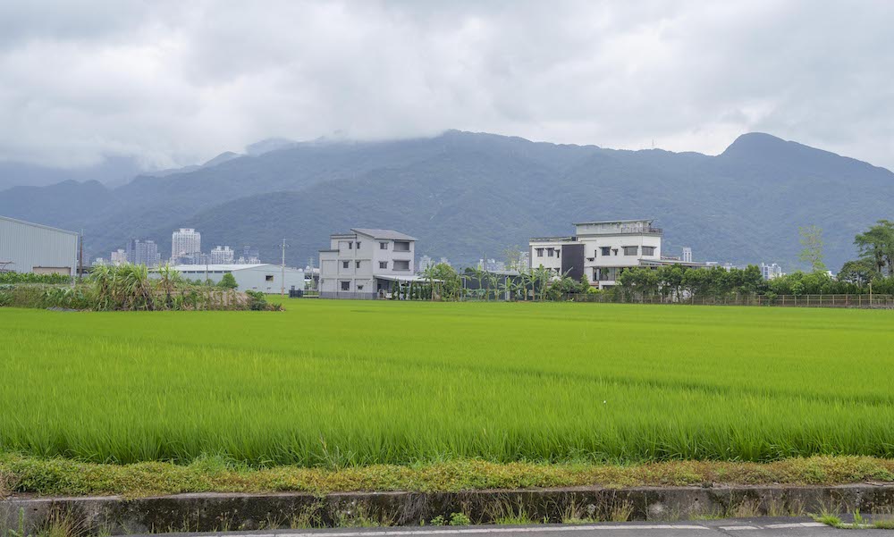 明水然．樂　高CP值無菜單鐵板燒1600起活龍蝦、A5和牛、干貝、現流魚通通吃得到